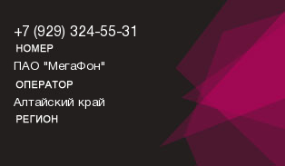 9293245531